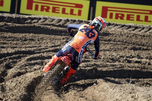 T. Gajser action