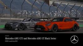mb 201005 AMG GT Black Series and GT3