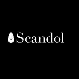 Video logo SCANDOLA (1)