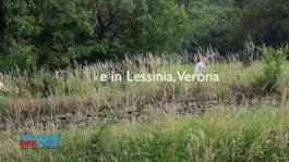 E-bike in Lessinia (Verona) with Simonetta Bike Tours